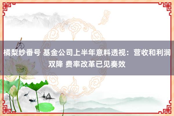 橘梨纱番号 基金公司上半年意料透视：营收和利润双降 费率改革已见奏效