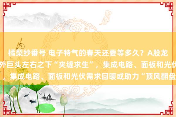 橘梨纱番号 电子特气的春天还要等多久？A股龙头股价、功绩双杀，国外巨头左右之下“夹缝求生”，集成电路、面板和光伏需求回暖或助力“顶风翻盘”