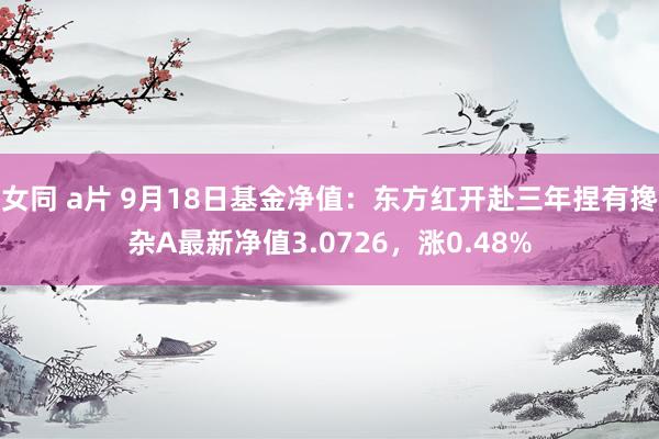女同 a片 9月18日基金净值：东方红开赴三年捏有搀杂A最新净值3.0726，涨0.48%