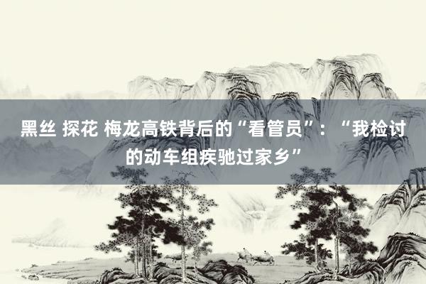 黑丝 探花 梅龙高铁背后的“看管员”：“我检讨的动车组疾驰过家乡”