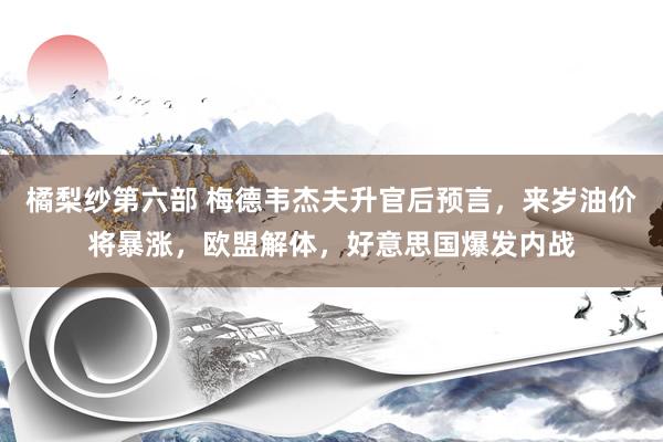 橘梨纱第六部 梅德韦杰夫升官后预言，来岁油价将暴涨，欧盟解体，好意思国爆发内战