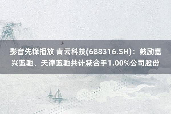 影音先锋播放 青云科技(688316.SH)：鼓励嘉兴蓝驰、天津蓝驰共计减合手1.00%公司股份