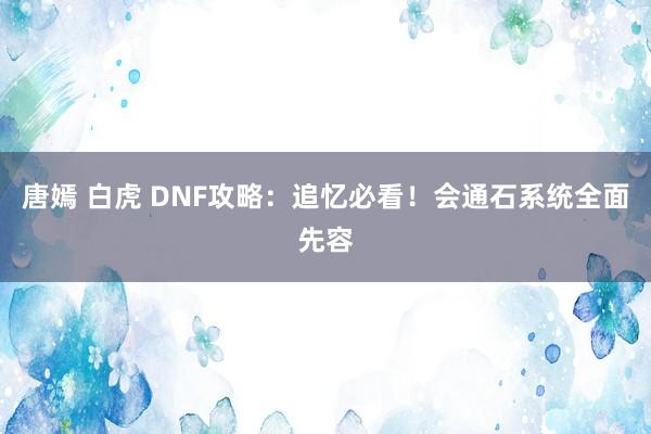 唐嫣 白虎 DNF攻略：追忆必看！会通石系统全面先容