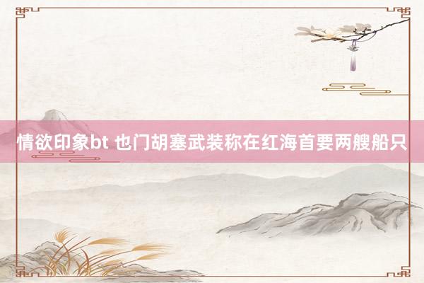 情欲印象bt 也门胡塞武装称在红海首要两艘船只