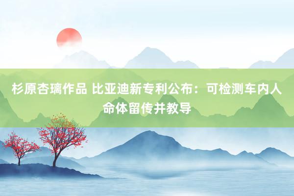 杉原杏璃作品 比亚迪新专利公布：可检测车内人命体留传并教导
