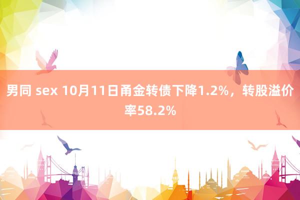 男同 sex 10月11日甬金转债下降1.2%，转股溢价率58.2%