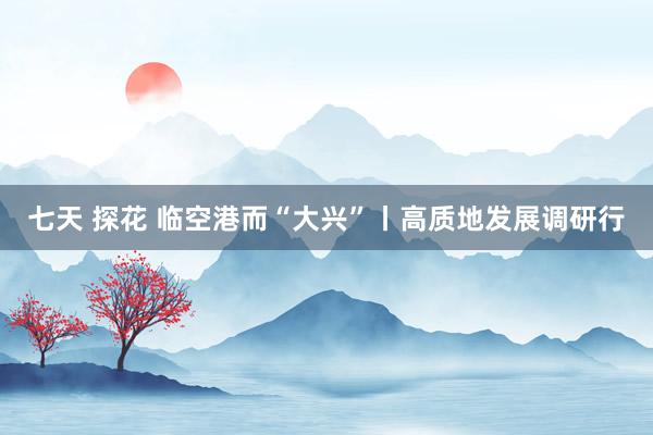 七天 探花 临空港而“大兴”丨高质地发展调研行