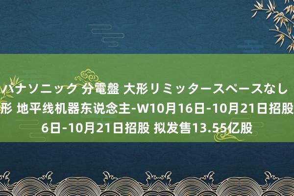 パナソニック 分電盤 大形リミッタースペースなし 露出・半埋込両用形 地平线机器东说念主-W10月16日-10月21日招股 拟发售13.55亿股