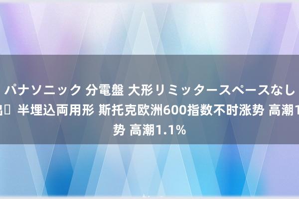 パナソニック 分電盤 大形リミッタースペースなし 露出・半埋込両用形 斯托克欧洲600指数不时涨势 高潮1.1%
