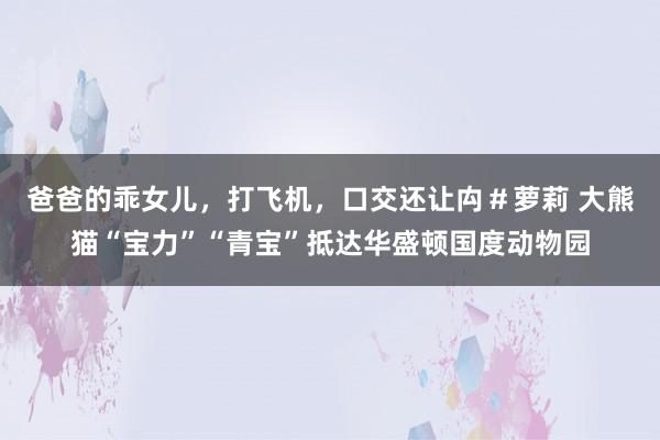 爸爸的乖女儿，打飞机，口交还让禸＃萝莉 大熊猫“宝力”“青宝”抵达华盛顿国度动物园