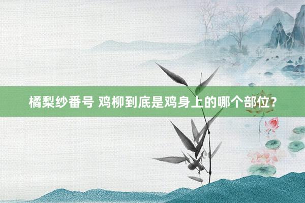 橘梨纱番号 鸡柳到底是鸡身上的哪个部位？