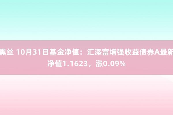 黑丝 10月31日基金净值：汇添富增强收益债券A最新净值1.1623，涨0.09%