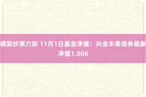 橘梨纱第六部 11月1日基金净值：兴业丰泰债券最新净值1.006