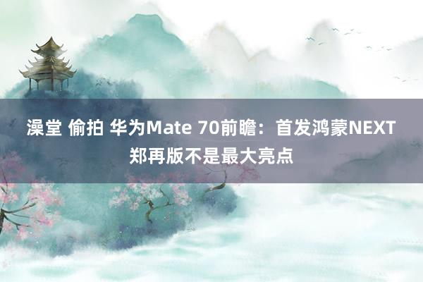 澡堂 偷拍 华为Mate 70前瞻：首发鸿蒙NEXT郑再版不是最大亮点