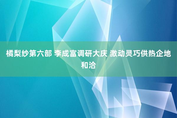橘梨纱第六部 李成富调研大庆 激动灵巧供热企地和洽