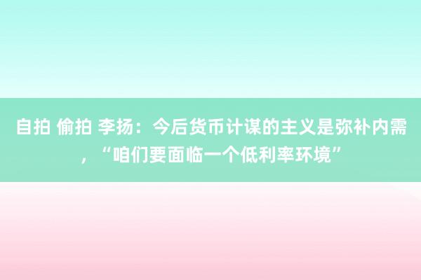 自拍 偷拍 李扬：今后货币计谋的主义是弥补内需，“咱们要面临一个低利率环境”