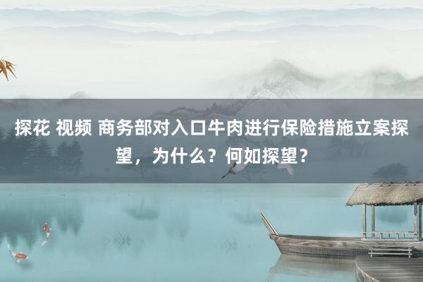 探花 视频 商务部对入口牛肉进行保险措施立案探望，为什么？何如探望？