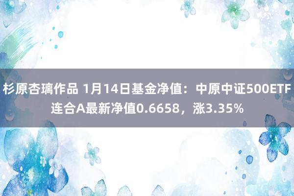 杉原杏璃作品 1月14日基金净值：中原中证500ETF连合A最新净值0.6658，涨3.35%