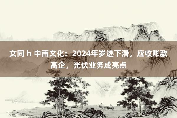 女同 h 中南文化：2024年岁迹下滑，应收账款高企，光伏业务成亮点