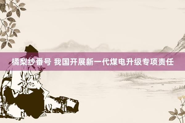 橘梨纱番号 我国开展新一代煤电升级专项责任