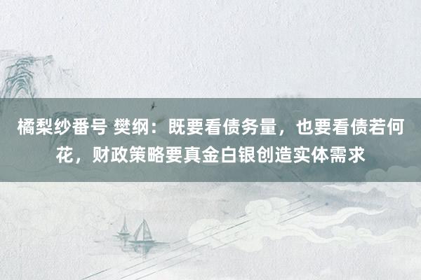 橘梨纱番号 樊纲：既要看债务量，也要看债若何花，财政策略要真金白银创造实体需求