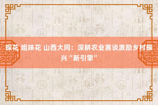 探花 姐妹花 山西大同：深耕农业赛谈激励乡村振兴“新引擎”