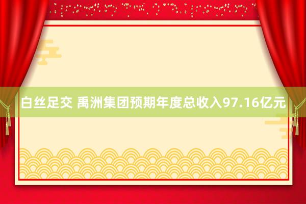 白丝足交 禹洲集团预期年度总收入97.16亿元