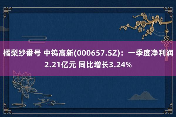 橘梨纱番号 中钨高新(000657.SZ)：一季度净利润2.21亿元 同比增长3.24%